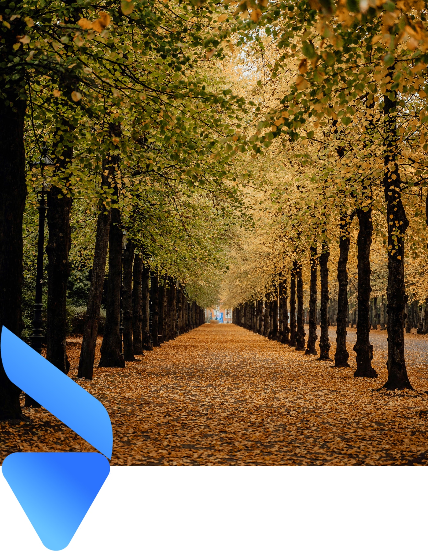 Webdesign-Profi-Marketing